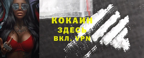 молекула духа Алексин