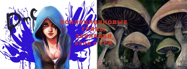 молекула духа Алексин