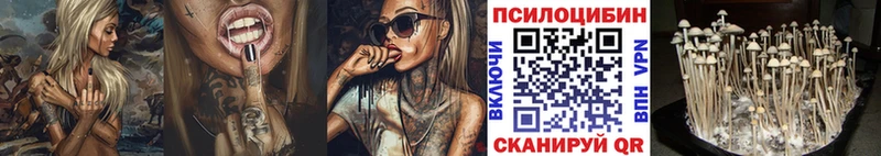 Галлюциногенные грибы Psilocybe где купить наркоту Гурьевск